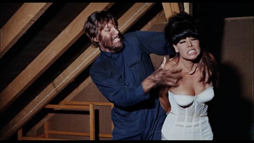 Rote Lippen, Sadisterotica（原題）の画像