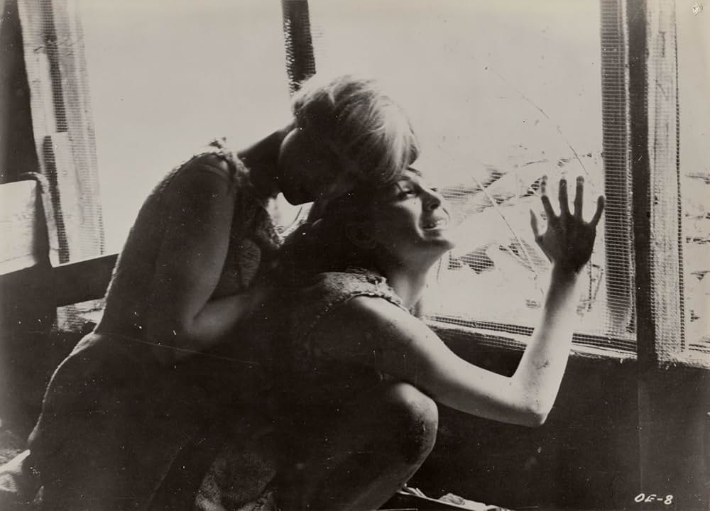 The Degenerates（原題）の画像