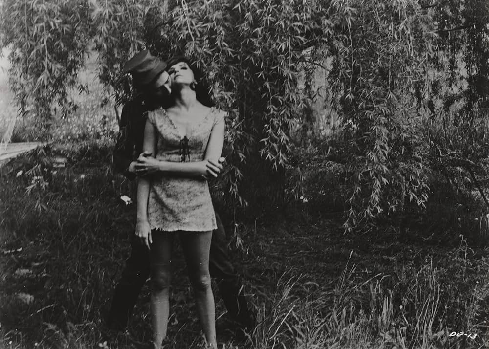 The Degenerates（原題）の画像