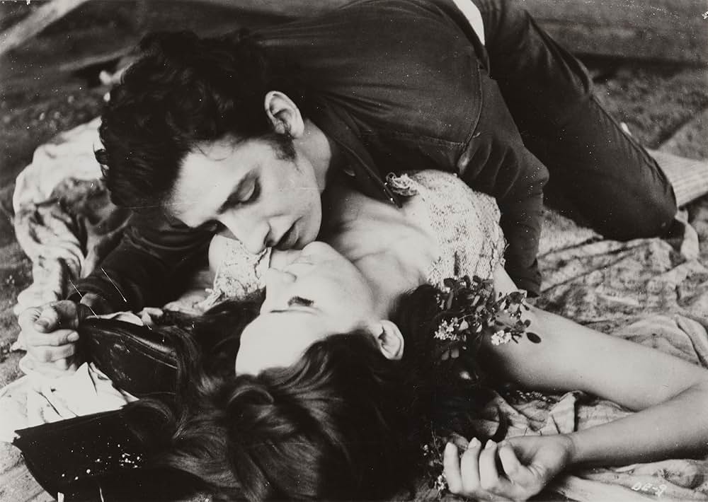 The Degenerates（原題）の画像