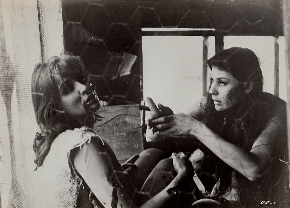 The Degenerates（原題）の画像