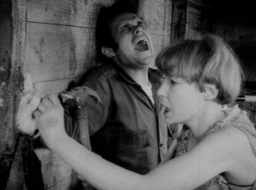 The Degenerates（原題）の画像