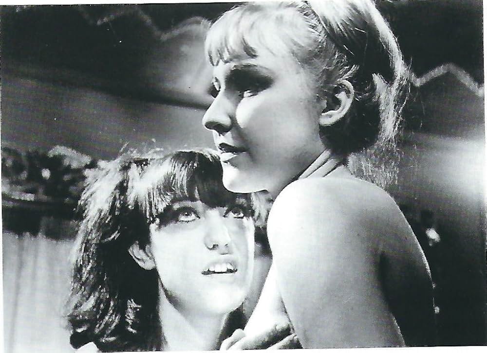 The Promiscuous Sex（原題）の画像