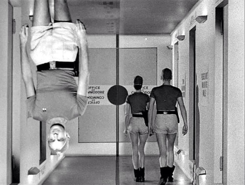 Project Moon Base（原題）の画像