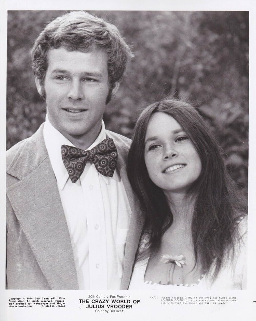 ベトナム戦争の勲章／ブルーダの優雅な生活の画像