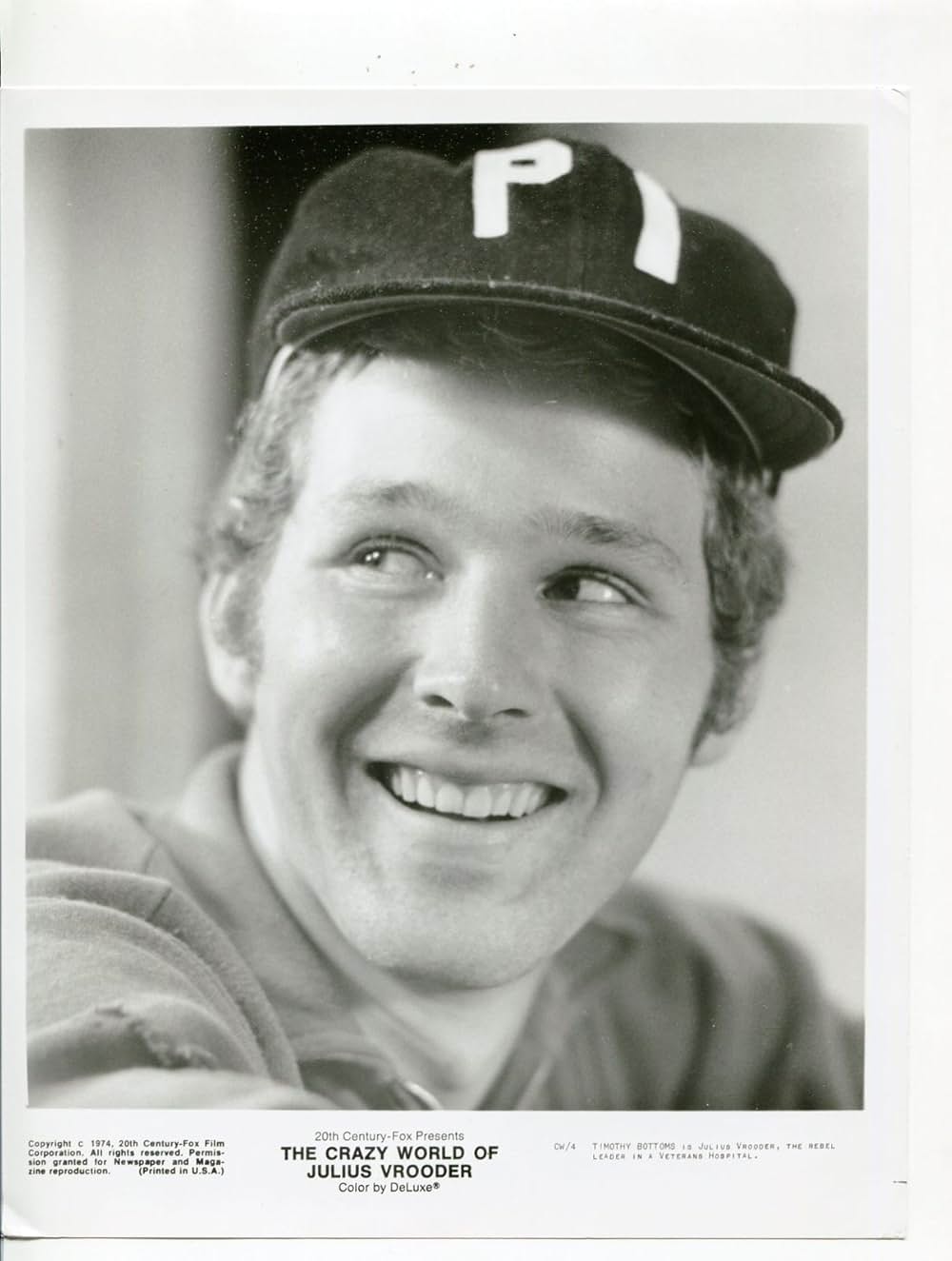 ベトナム戦争の勲章／ブルーダの優雅な生活の写真