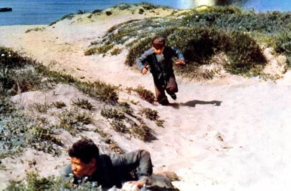 ぼくは泣かないの写真