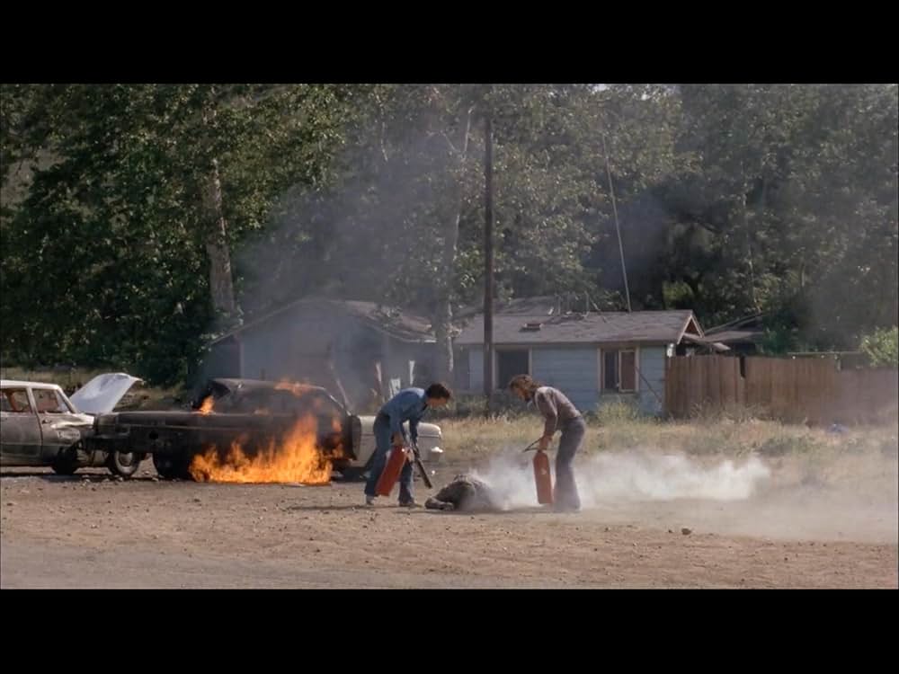 ブラック・オークの画像