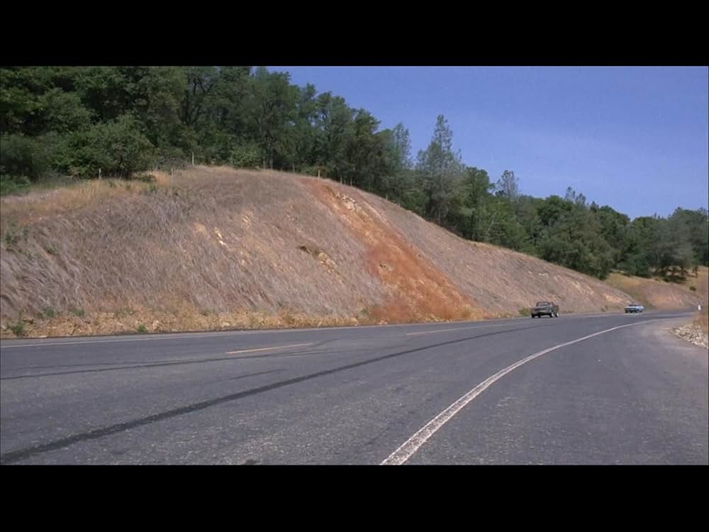 ブラック・オークの画像