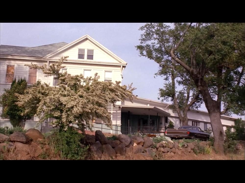 ブラック・オークの画像