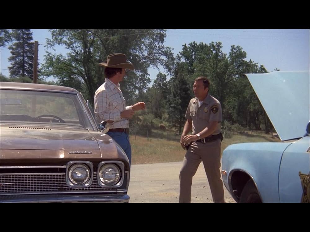 ブラック・オークの画像