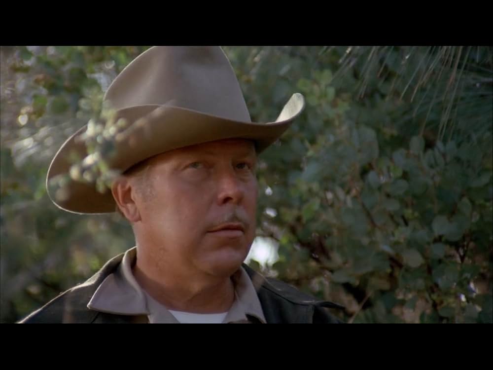 ブラック・オークの画像