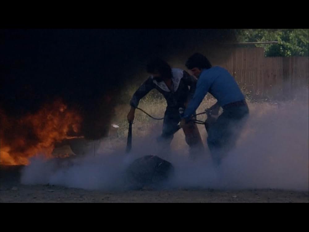 ブラック・オークの画像