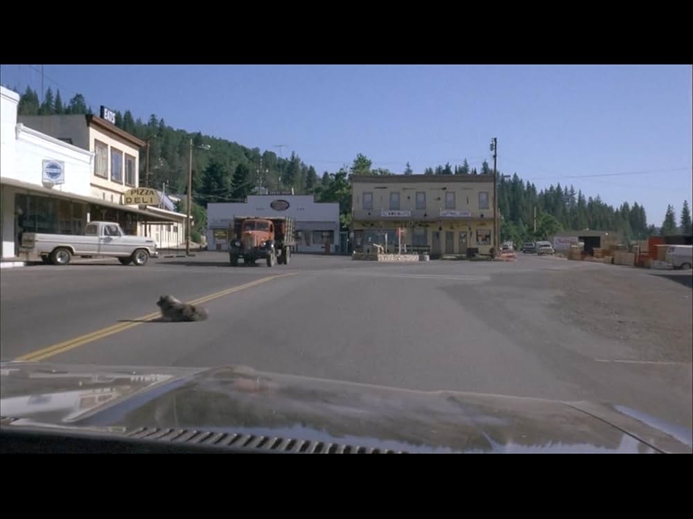 ブラック・オークの画像