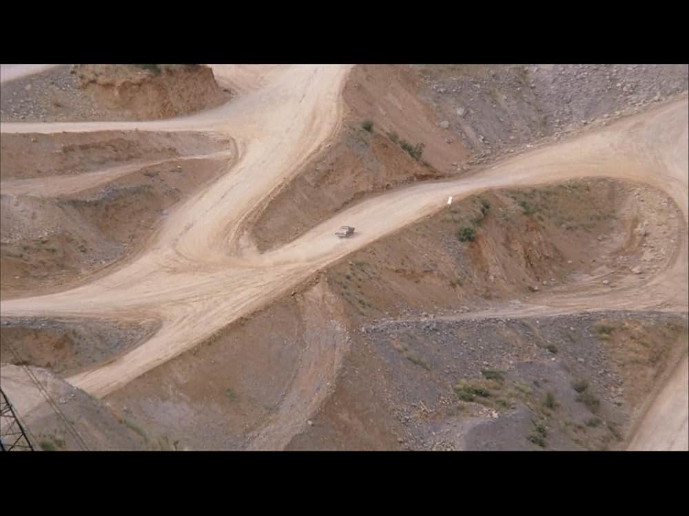 ブラック・オークの画像