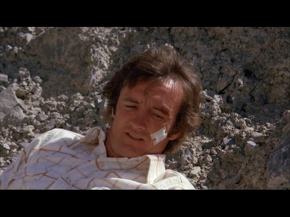 ブラック・オークの画像