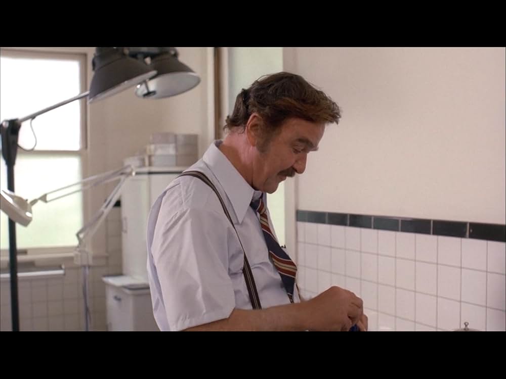 ブラック・オークの画像