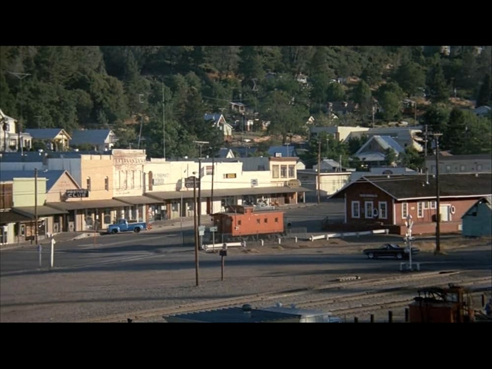 ブラック・オークの画像