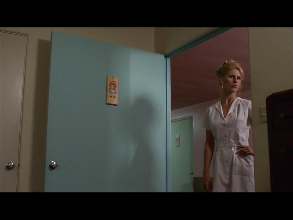 ブラック・オークの画像