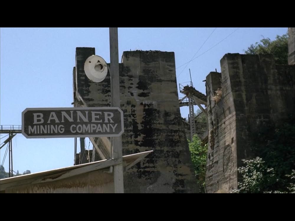 ブラック・オークの画像