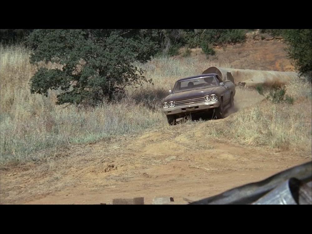 ブラック・オークの画像