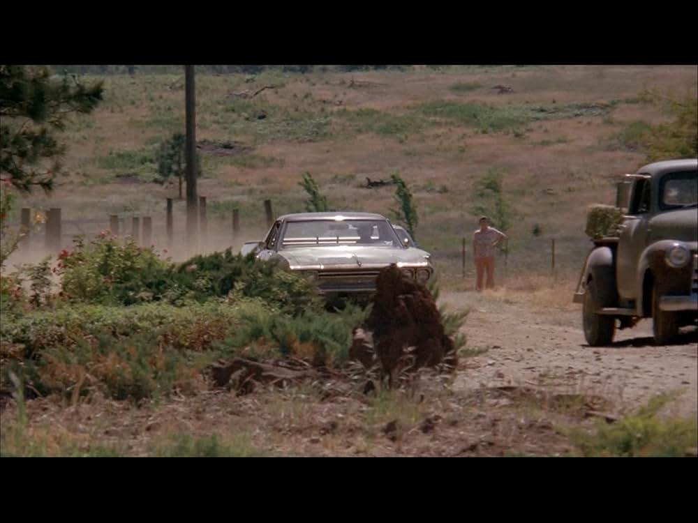 ブラック・オークの画像