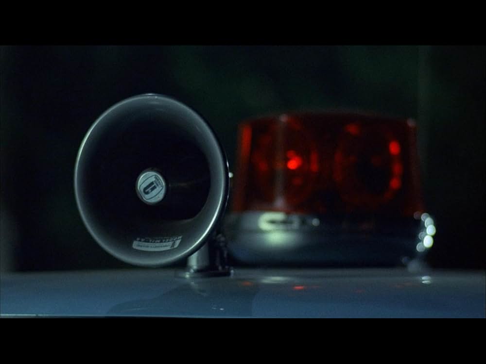 ブラック・オークの写真