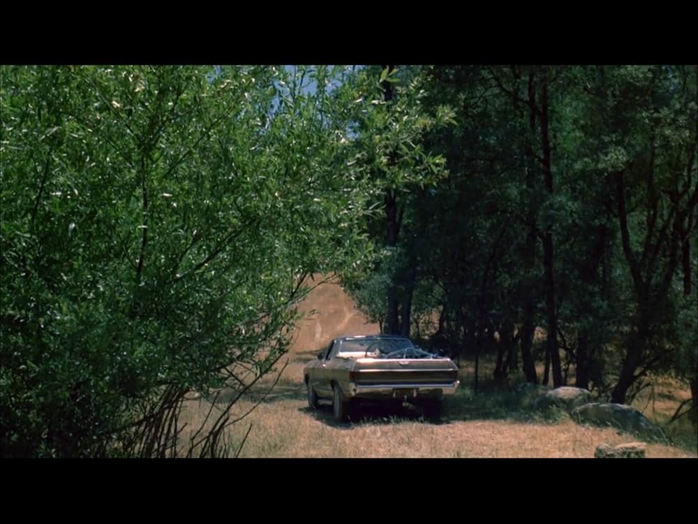 ブラック・オークの画像