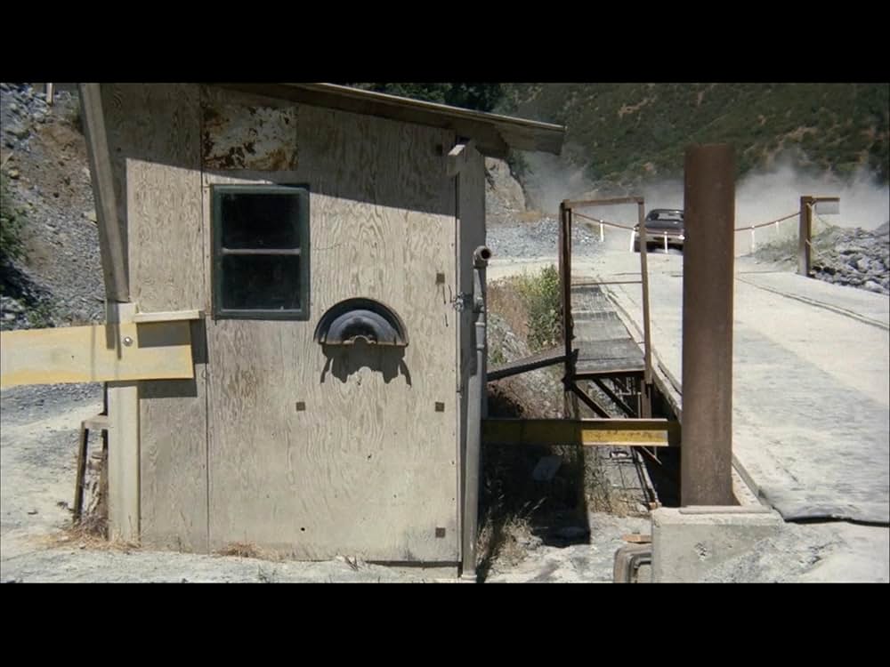 ブラック・オークの画像