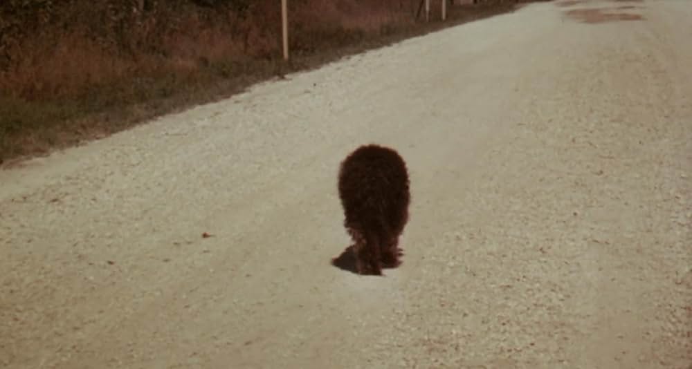 タバコのなくなる日の画像