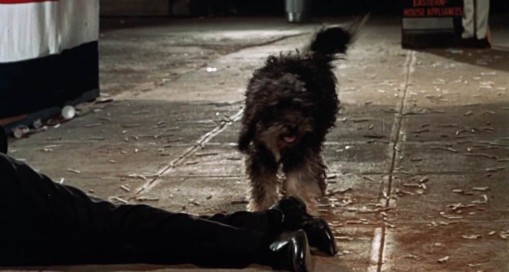 タバコのなくなる日の画像