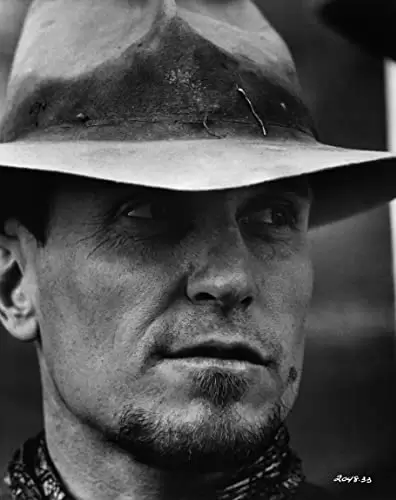 「ミネソタ大強盗団」ロバート・デュバルの画像