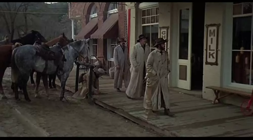 ミネソタ大強盗団の画像