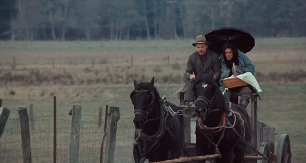 ミネソタ大強盗団の画像