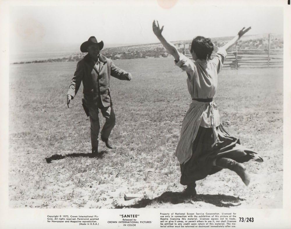 サンティー／復讐の荒野の画像