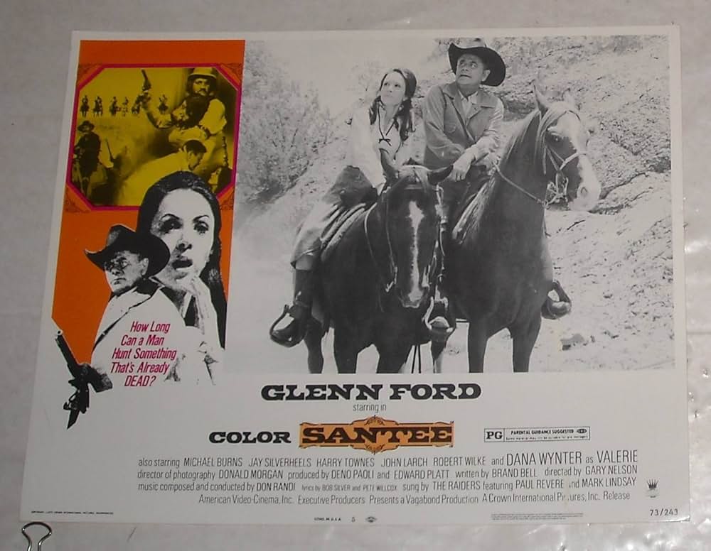 サンティー／復讐の荒野の画像