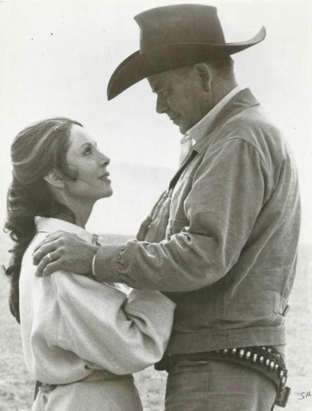 サンティー／復讐の荒野の写真