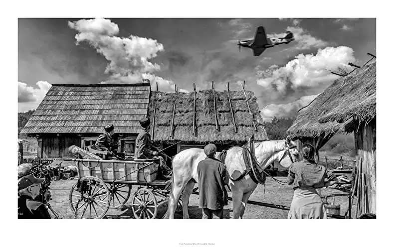 異端の鳥の画像