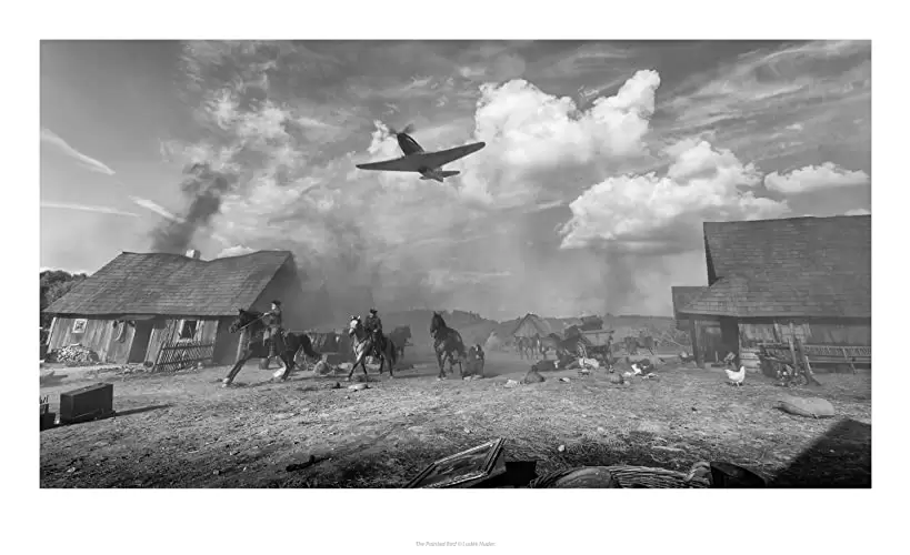 異端の鳥の画像