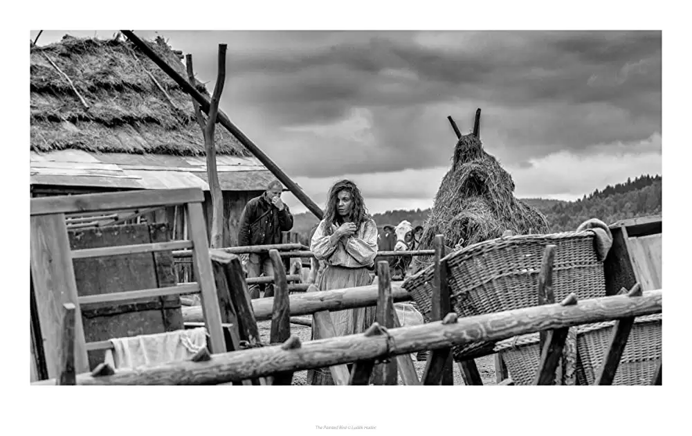 異端の鳥の画像