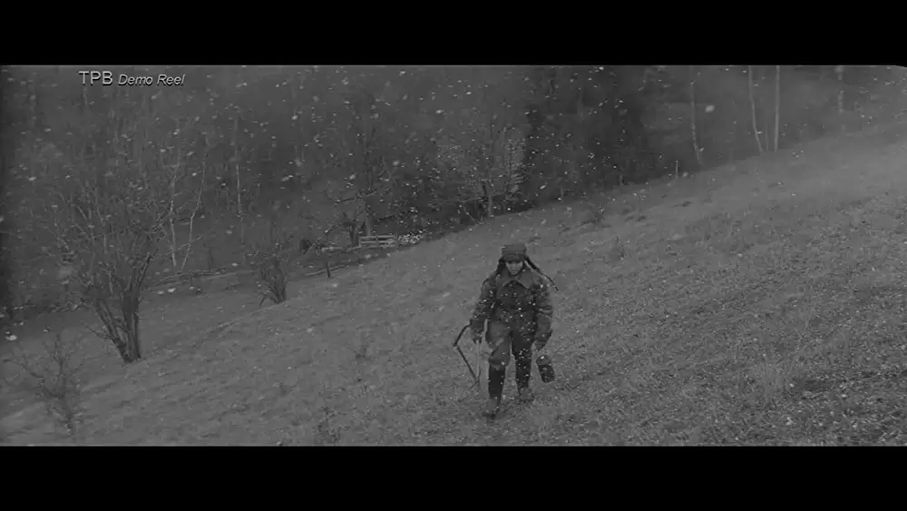 異端の鳥の画像