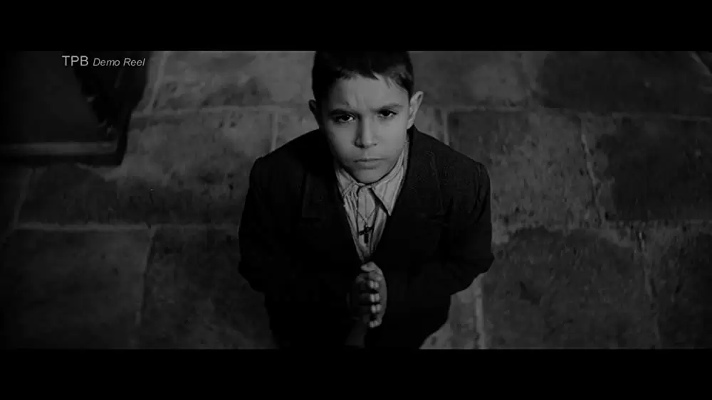 異端の鳥の画像