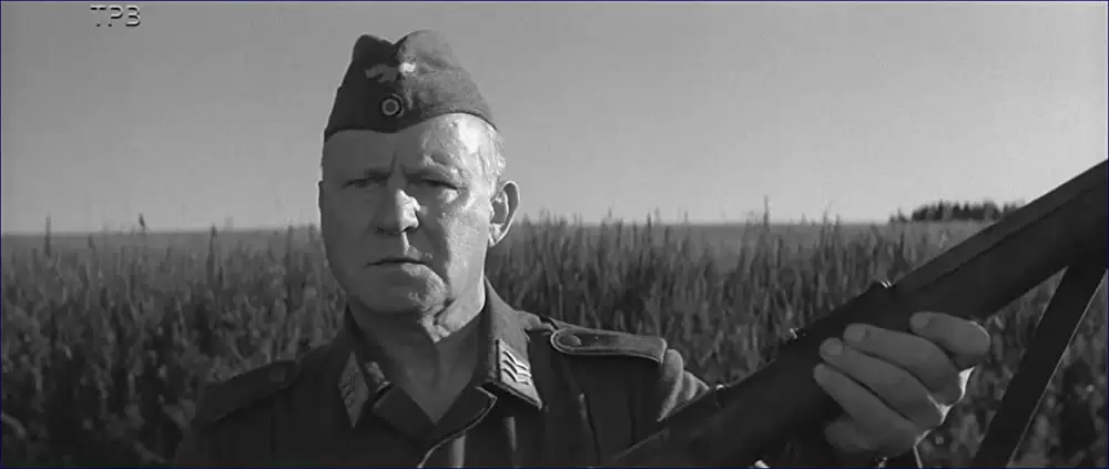 異端の鳥の画像