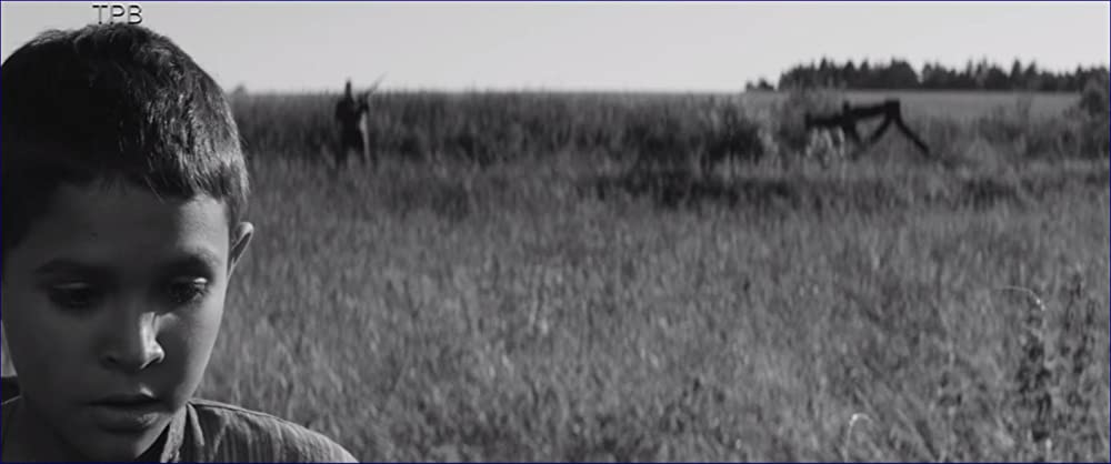 異端の鳥の画像