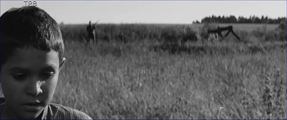 異端の鳥の画像