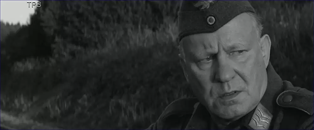 異端の鳥の画像