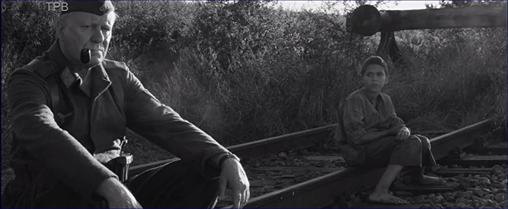 異端の鳥の画像