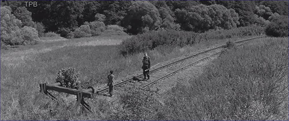 異端の鳥の画像