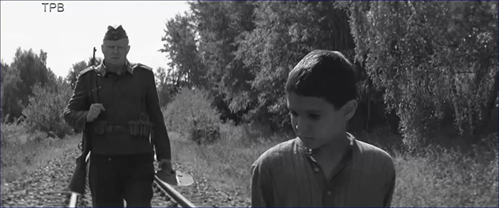 異端の鳥の画像