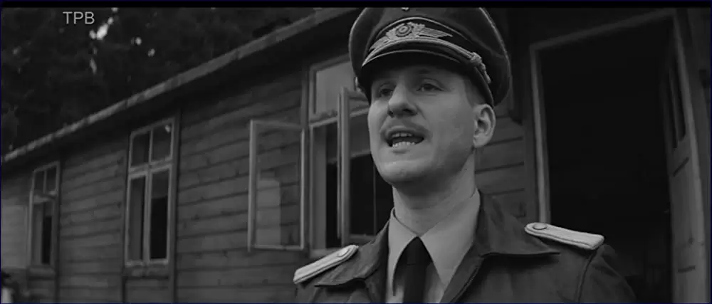 異端の鳥の画像